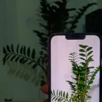 iPhone13pro|موبایل|ارومیه, |دیوار