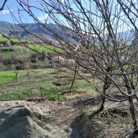 رنگه رژان|فروش دفتر صنعتی، کشاورزی، تجاری|سرشیو, |دیوار