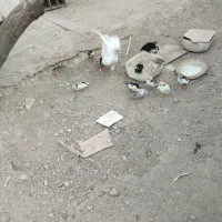 مرغ جوجه گلین|حیوانات مزرعه|پاکدشت, پاکدشت (مامازند)|دیوار