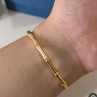 انواع دستبند کارتیر طرح جواهری رنگ ثابت|بدلیجات|ایلام, |دیوار