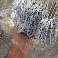 تور تایلندی درجه یک|ماهیگیری|اصفهان, چرخاب|دیوار