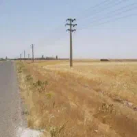 زمین ۳۶ هکتار دیم بر جاده آب برق گاز بناسند تک برگ|فروش دفتر صنعتی، کشاورزی، تجاری|مشهد, بهشت|دیوار