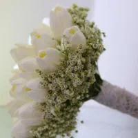 عکاسی جشن . فضای باز