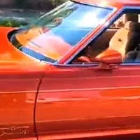 راهنمایی رانندگی میخام