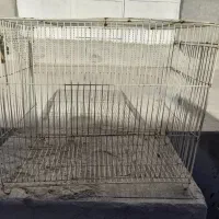 قفس پرنده، ساده|لوازم جانبی حیوانات|تربت‌حیدریه, سرمحله|دیوار