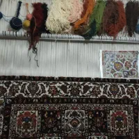فرش دستبافت نقشه چالشتری