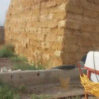 فروش پرس گندم و کاه