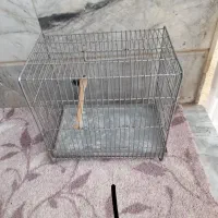 قفس
