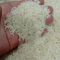 برنج طارم هاشمی سرلاشه اصل درجه یک