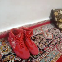 کفش کشتی