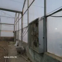 گلخانه سازه پایه اسپانیایی|ماشین‌آلات صنعتی|شاهرود, |دیوار