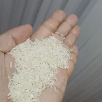 برنج هاشمی