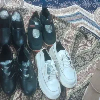 کفش ها به تغییرشغل وجمع کردن مغازه