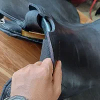 زین و دهنه اسب|اسب و تجهیزات اسبسواری|بهبهان, |دیوار