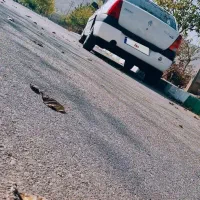 ال ۹۰ e2 مدل ۱۳۹۵