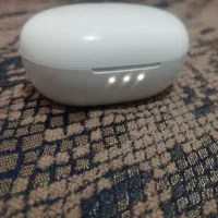 کیس ارپاد سالم