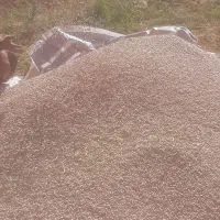 لوبیا حراج حراج|خوردنی و آشامیدنی|لالی, |دیوار