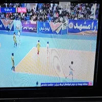 تلویزیون فلت پاناسونیک رنگی 29اینچ|تلویزیون و پروژکتور|تهران, سعادت‌آباد|دیوار