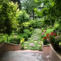 کریمی ۱۱۰ متر / به قیمت