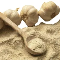 پودر سیر و پودر پیاز خوش عطر