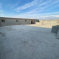 دامداری نیمه صنعتی / پرواربندی|اجارهٔ دفتر صنعتی، کشاورزی، تجاری|چناران, |دیوار