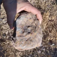 سنگ عتیقه|کلکسیون اشیاء عتیقه|ابهر, |دیوار