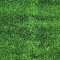 زمین بلوار جمهوری کوچه شهید رضا زاده