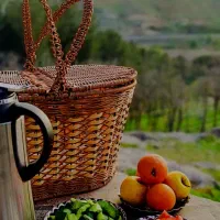 سبد بافی