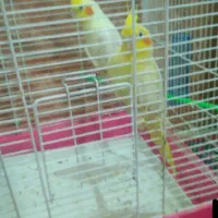 لطفاً به توضیحات توجه کنید