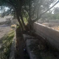 باغچه-800-متری-خیابان-مدرسه-ملارد-بیدگنه