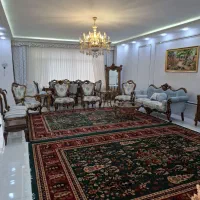 درخت انار ۱۰۰۰شانه اصلی تمام‌نخ تخفیفی