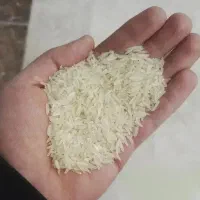 برنج فجر در یک به شرط پخت