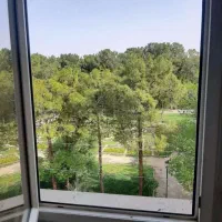 کلنگی / ۲۰۲متر/ اوایل طالقانی