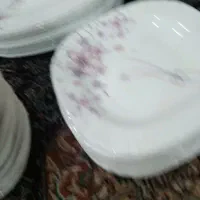 ظروف پذیرایی|ظروف سرو و پذیرایی|اهواز, گلستان|دیوار