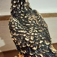 مجسمه عقاب