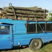 خرید درخت و چوب|خدمات باغبانی و درختکاری|مرند, |دیوار