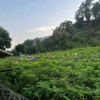 زمینی برای ساختن اعتبار ۵۰۰ متر باویوی ابدی|فروش زمین و ملک کلنگی|آستارا, |دیوار