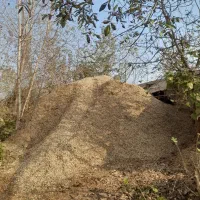 فروش پوست بادام زمینی به صورت عمده|خدمات باغبانی و درختکاری|آستانه اشرفیه, |دیوار