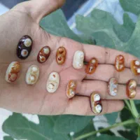 نگین عقیق باباقوری دو کوهان