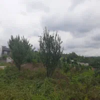 فروش زمین