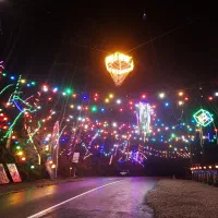 نیروی ساده|استخدام خدمات فروشگاه و رستوران|قم, زنبیل آباد|دیوار