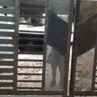 جوشکارسیار|خدمات پیشه و مهارت|زاهدان, |دیوار