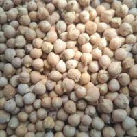 حبوبات|خوردنی و آشامیدنی|شیراز, شهرک مدرس|دیوار