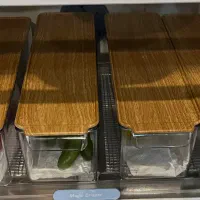 ظرف میوه چاقو‌ ۳تا  جا دستمالی توری ماهی قالب کیک|ظروف نگهدارنده، پلاستیکی، یک‌بارمصرف|کرج, فاز ۱ مهرشهر|دیوار