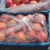 فروش عمده انار ملس ساوه ممتاز|خوردنی و آشامیدنی|گرگان, |دیوار