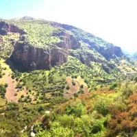 سویت-اجاره-ای-شهرستان-پاوه-روستای-دشه