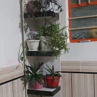 شلف هایگلاس با گلدان ها|کتابخانه، شلف، قفسههای دیواری|دزفول, |دیوار