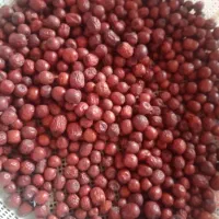 عناب بیرجند کیلو ۱۳۰