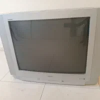 تلویزیون ۲۹اینچ پارس|تلویزیون و پروژکتور|پرند, فاز ۶|دیوار