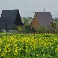کلبه سویسی جنگلی دو خوابه جکوزی دار